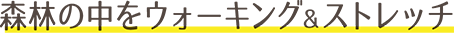森林の中をウォーキング＆ストレッチ